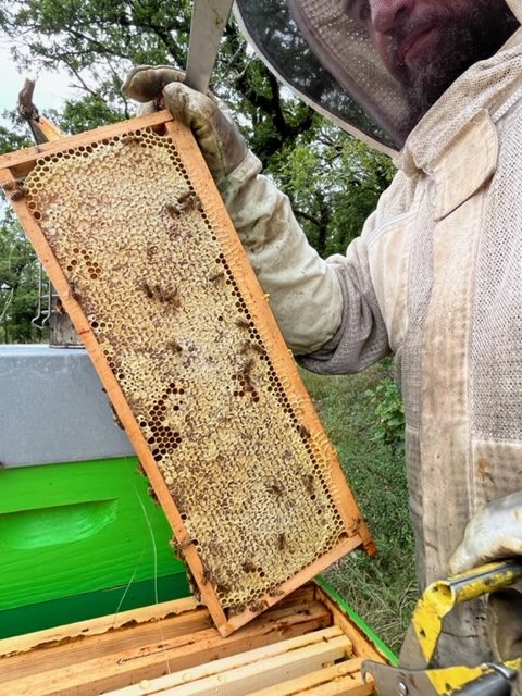 Le Rucher du Céou - vente de miel - cadre